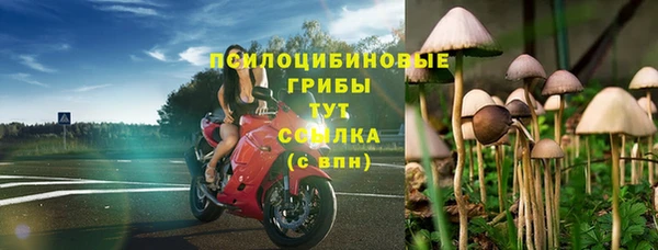apvp Арсеньев