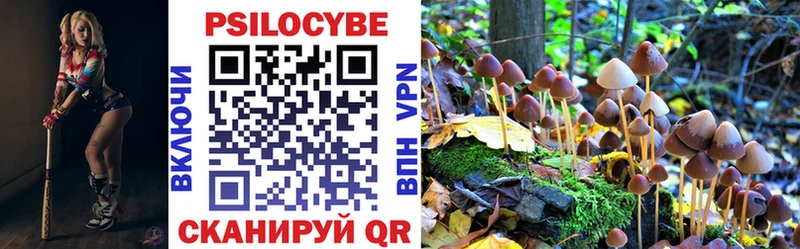 Галлюциногенные грибы Cubensis Славск