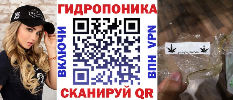 Бошки марихуана Amnesia  Славск 